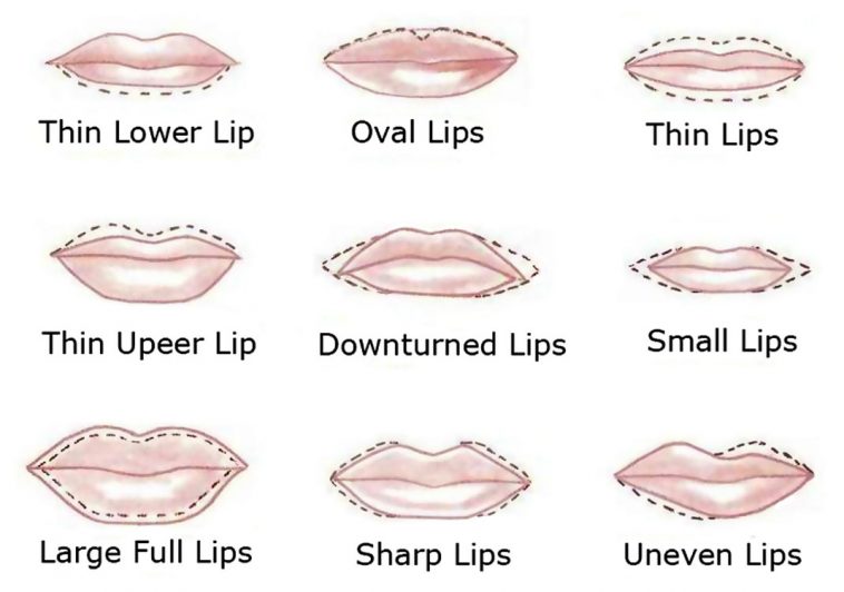 Lips-shapes