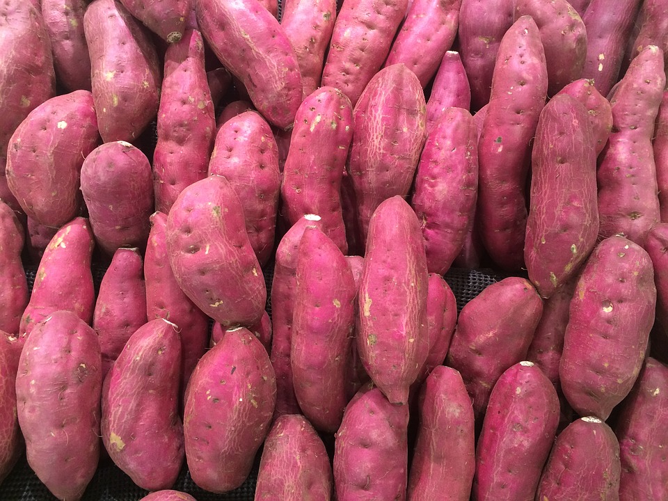 sweet-potato