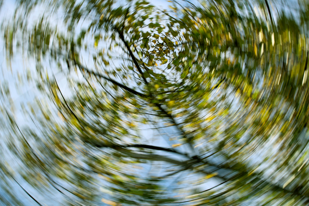 (Vertigo, Dizy, Illness, Nature, Swirl, http://www.istockphoto.com/photo/autumn-swirling-trees-gm511679610-86773769?st=05e6ab2)