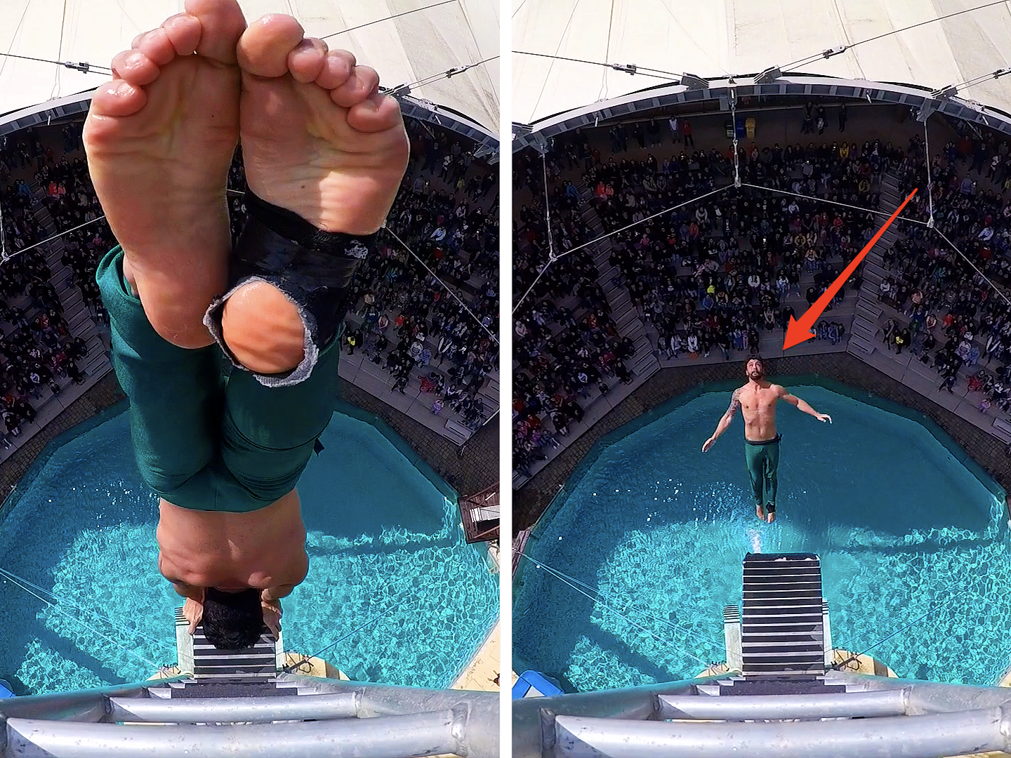 Professional Diver High Dives in front of audience