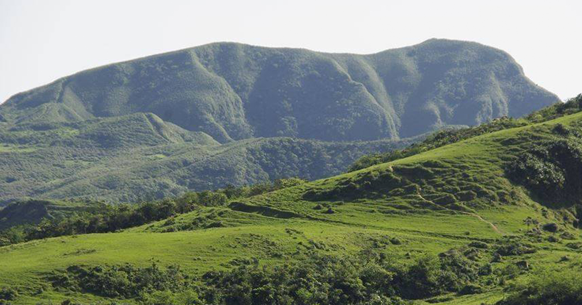 Sleeping dog-shaped hill