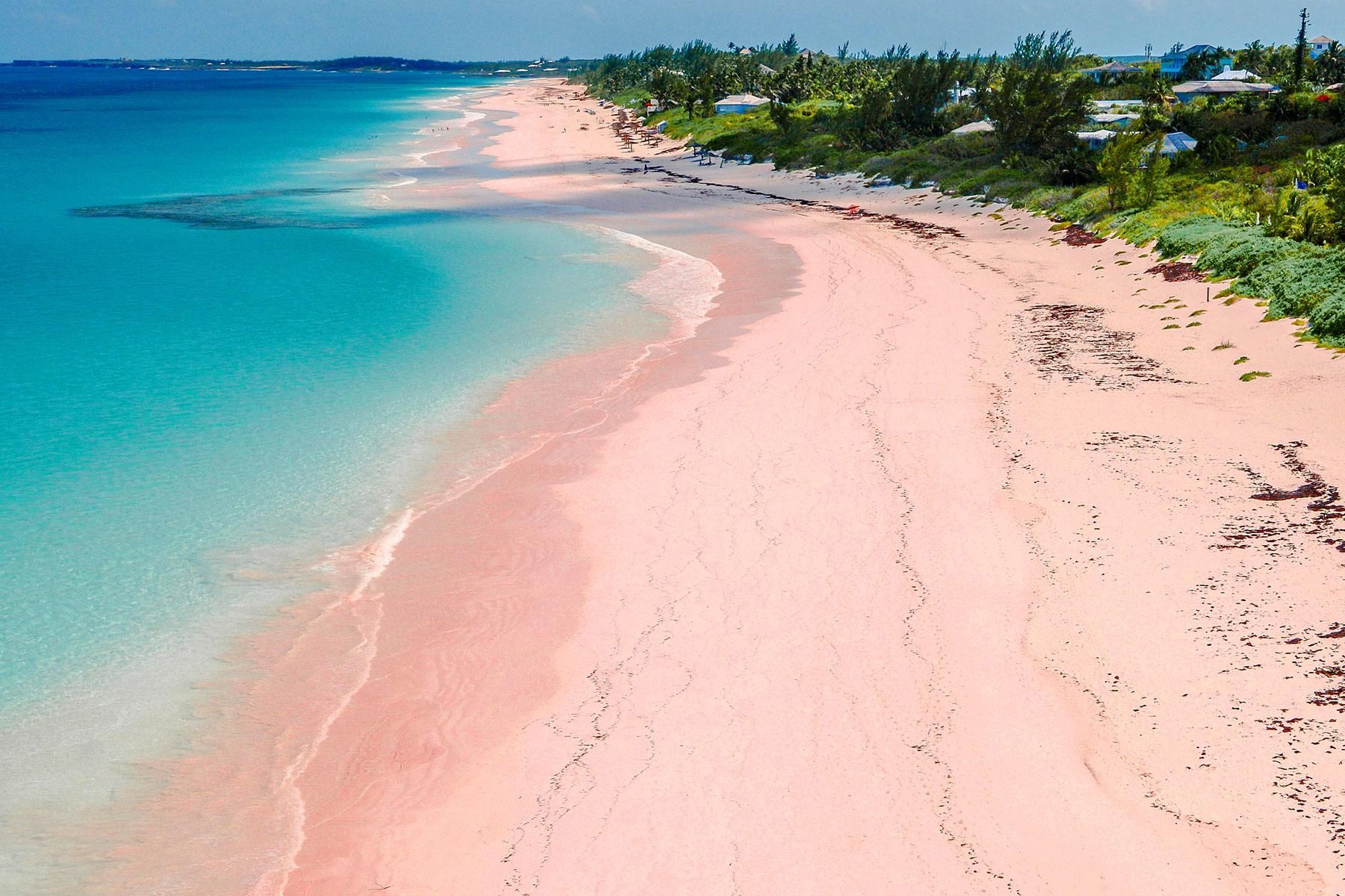 Pink Sands Beach, Bahamas.
